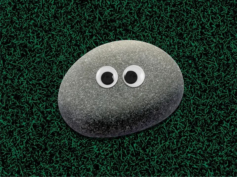 What is ‘Grey Rock Technique’ of dealing with a Narcissist?